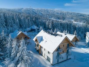 Ski Chalet Klínovec v zime