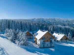 Ski Chalet Klínovec v zime