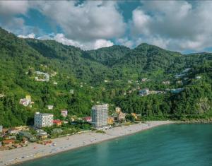 Villa Kolkhi في كفارياتي: اطلالة جوية على شاطئ وجبال