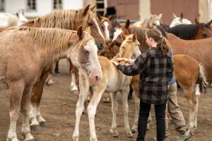 Gallery image of Estancia Cerro Guido in Torres del Paine