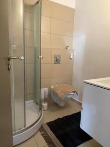 een badkamer met een douche, een toilet en een wastafel bij Amazing Savoya nr1 Loft Old City Center Self check-in in Timişoara