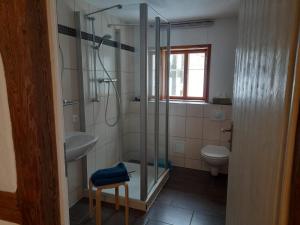 a bathroom with a shower and a sink and a toilet at Romantische Ferien auf dem nachhaltig ökologisch sanierten Bauernhof in Habrachćicy +37 photos