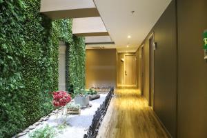 Um jardim em Hotel Catedral Plaza
