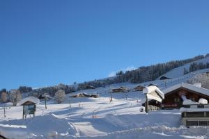 Chalet Hotel Le Mont Bisanne v zimě
