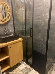 bagno con doccia, lavandino e specchio di Charmant T2 refait à neuf a Calvi