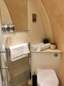 a bathroom with a toilet and towels on a shelf at Cardross Estate Glamping Pods in Stirling