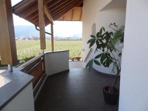 um corredor com um vaso de plantas e uma grande janela em Apartments Klotz em Bolzano
