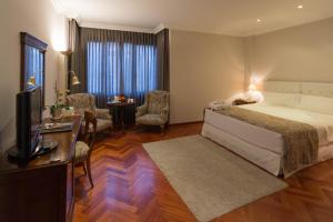 - une chambre avec un lit, un bureau et une télévision dans l'établissement Don Pio, à Madrid