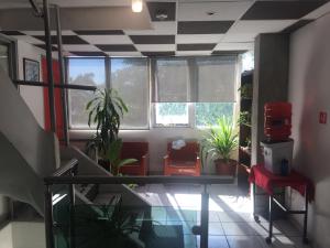 My Suite Ejecutiva的休息区
