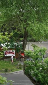 Fotografia z galérie ubytovania Camping nr 61 v destinácii Elblag