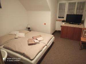 a hotel room with two beds and a television at Ranč u Sedmi Kulí in Nedašov