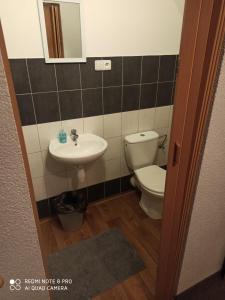 a bathroom with a toilet and a sink at Ranč u Sedmi Kulí in Nedašov