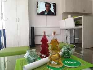 TV a/nebo společenská místnost v ubytování Apartman NINA Wind Resort