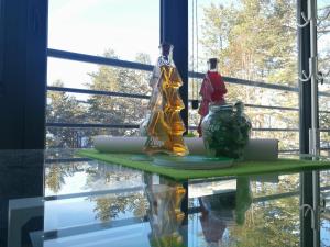 Hosté ubytování Apartman NINA Wind Resort