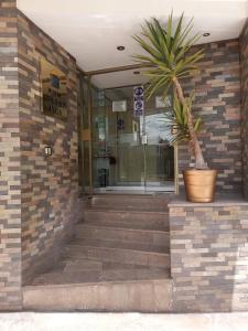 a palm tree in a pot in front of a building at Golden Inca Hotel in Cusco