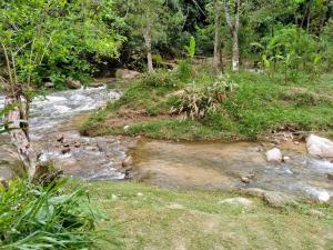 a stream of water in a field with trees at Casa da cachoeira na beira do Rio Sana in Sana