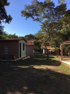 a small brick house with a tree in the yard at João de Barro Hospedagem in Caeté-Açu