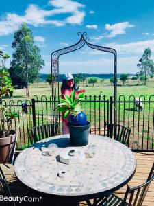 KonagaderraYes home的相册照片