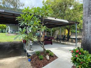 d'une terrasse avec une table et un arbre dans une cour. dans l'établissement Bush Village Holiday Cabins, à Airlie Beach