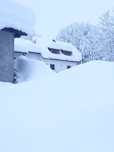 Greuth Hutte v zimě