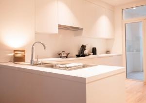 Kuhinja oz. manjša kuhinja v nastanitvi Smartflats - Antwerp View