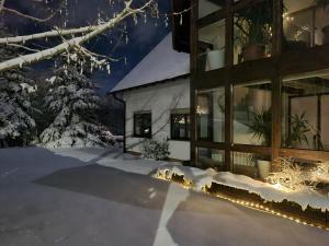 a house covered in snow at night with christmas lights at An den Auwiesen in Kleineicholzheim