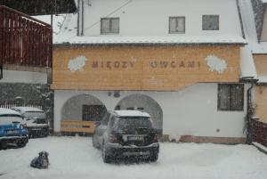 Obiekt Miedzy Owcami zimą