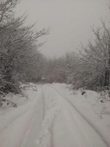 El llagar - Sagasta Rural Oviedo during the winter