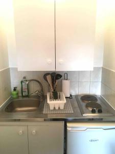 a kitchen with a sink and a counter top at Studio BRITTANY in Chambéry