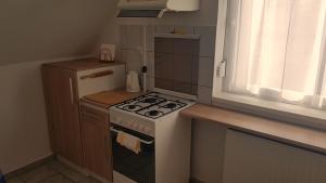 uma pequena cozinha com um fogão e um frigorífico em AAA-Apartment 2 em Balatonfüred