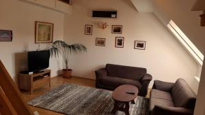 uma sala de estar com um sofá e uma televisão em AAA-Apartment 2 em Balatonfüred
