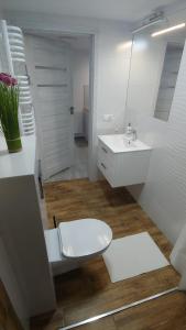 Ένα μπάνιο στο Apartament Arkadia Storczyk +10 φωτογραφίες
