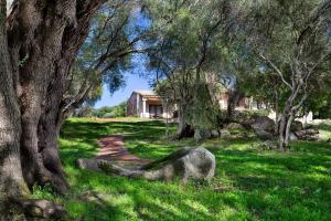 a house in the middle of a field with trees at Hotel Parco Degli Ulivi - Sardegna in Arzachena