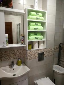 Koupelna v ubytování Apartman NINA Wind Resort