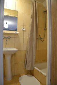 a bathroom with a sink and a toilet and a shower at Jodełka in Święta Katarzyna