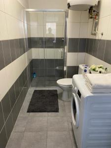 y baño con ducha y lavadora. en Apartmány Černý Tulipán 3, en Plzeň