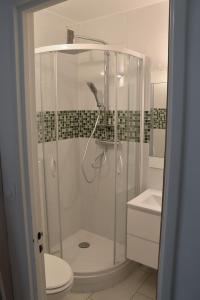 a bathroom with a shower with a toilet and a sink at Studio Front de Mer in Saint-Jean-de-Monts