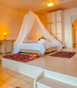 a bedroom with a bed with a mosquito net at Palia Damouhari in Damouchari