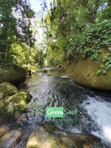 a stream in a forest with rocks and trees at Greensoul Hospedagem in Ubatuba
