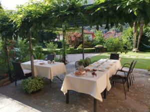 Zahrada ubytování B&B Villa Dei Pini