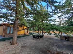 un patio con tavolo e sedie sotto un albero di El Rincón de Guica a Teruel