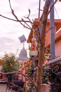 a bird feeder on a tree next to a building at Asuka Apartmani 飞鸟客 in Surčin