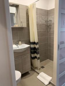 a bathroom with a toilet and a sink and a shower at Pension Hammrich in Neudörfl
