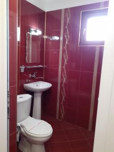 a bathroom with a toilet and a sink at Gelov Hotel in Berkovitsa