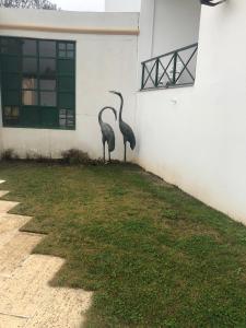 
a pair of birds standing in front of a building at Hotel Castelo de Vide in Castelo de Vide
