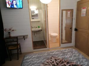 a bathroom with a shower and a toilet and a sink at HOTEL DE LA GARE in Jussey