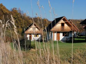 two wooden houses in a field with trees in the background at Ośrodek Wypoczynkowy Osada Solina in Ustrzyki Dolne