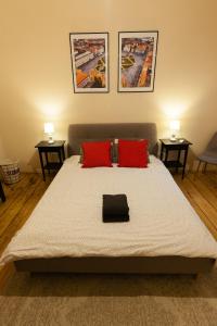 1 dormitorio con 1 cama grande y 2 almohadas rojas en Chic Apartment in Historical City Center, en Timisoara