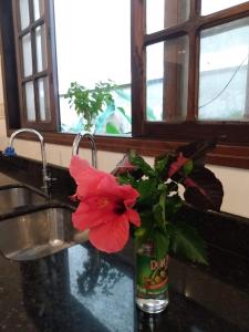 a red flower in a glass bottle next to a sink at Hospedaria Namastê in Peruíbe +35 photos