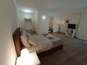 um quarto grande com uma cama e uma televisão em Alojamento Dos Santos - Pinhão em Pinhão